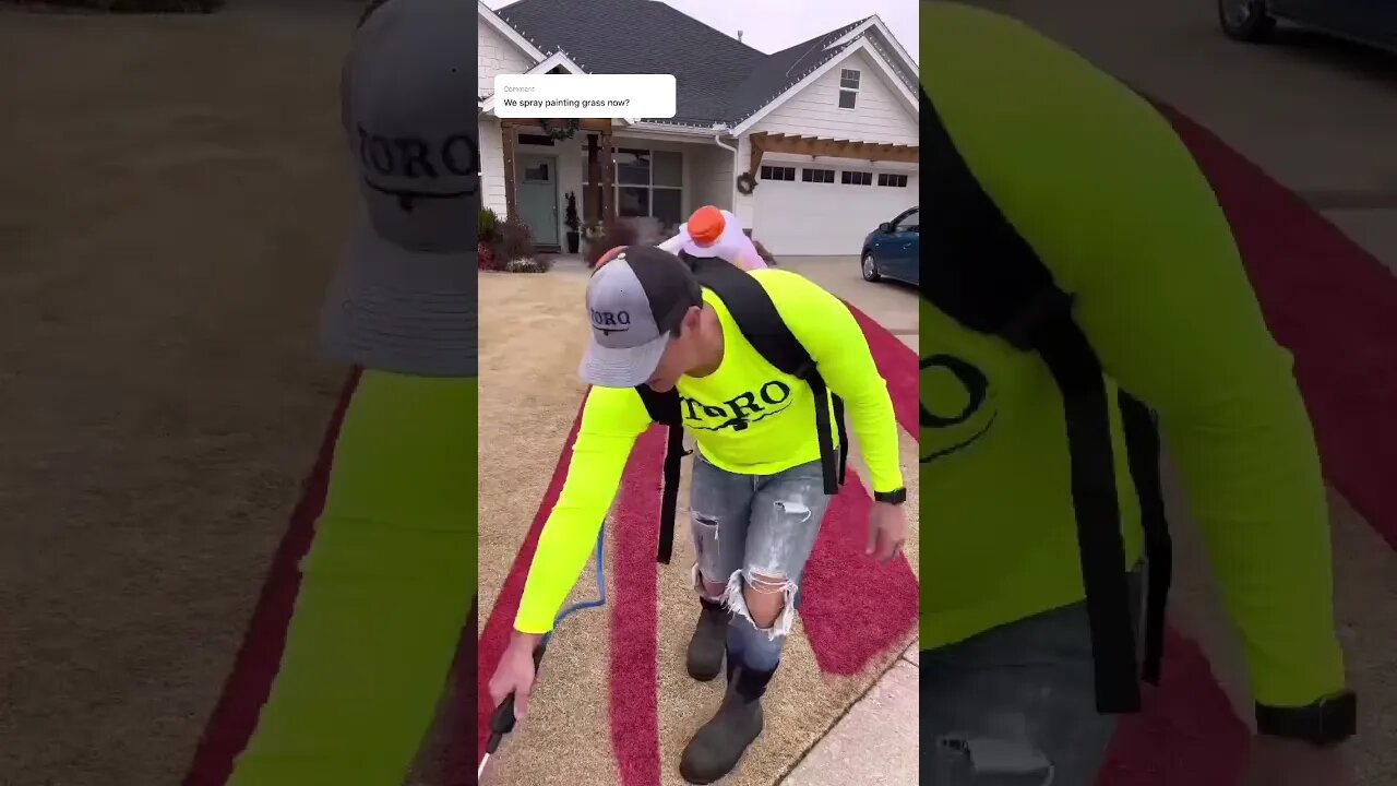 Painting the Grass for Christmas