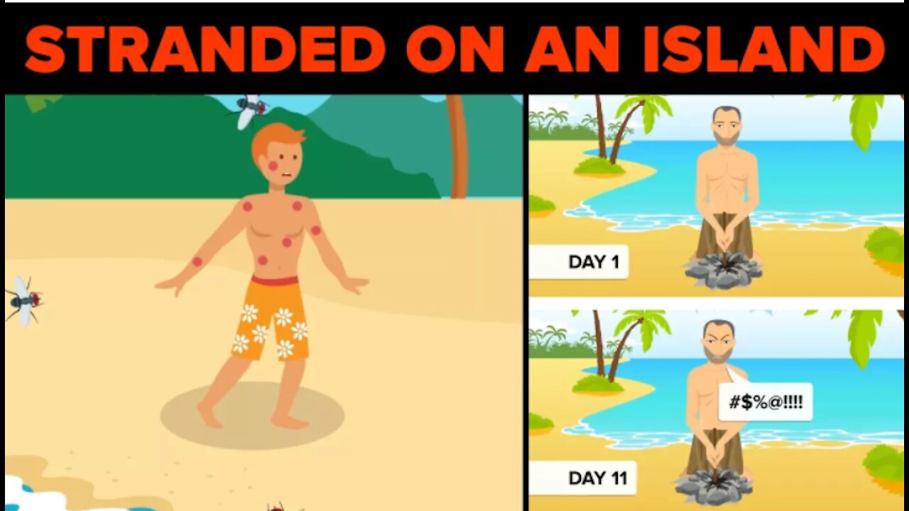 How to survive on a Stranded Island!