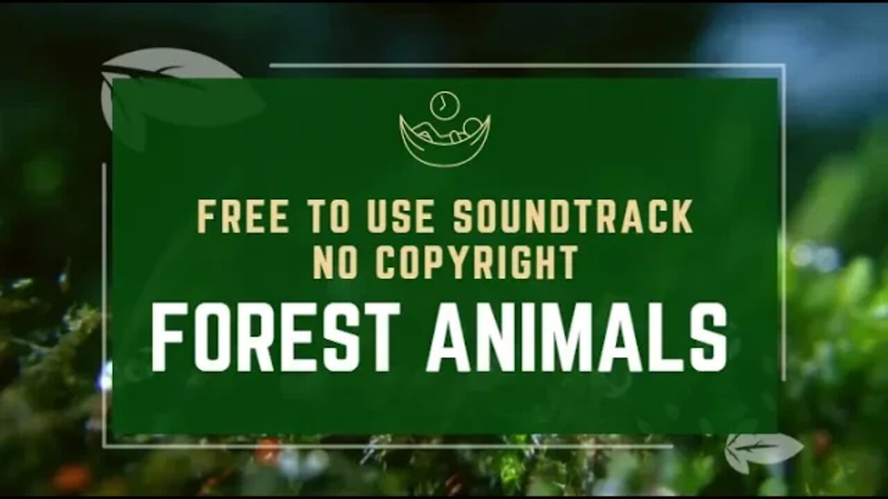 FREE TO USE NO COPYRIGHT SOUNDTRACK | ORIGINAL FANTASY FOREST ANIMALS AMBIENCE