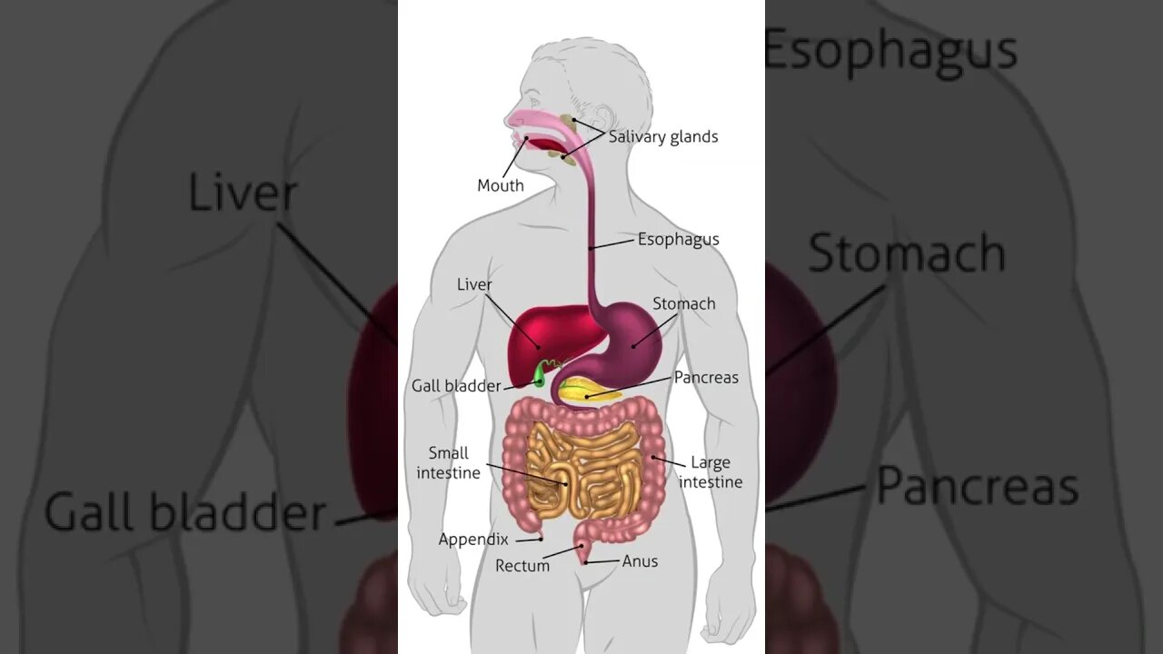 Gallbladder cancer overview