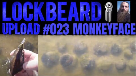 UPLOAD #023. Monkeyface