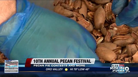 Sahuarita Annual Pecan Festival