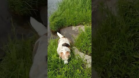 It's A Slow Day... 💜