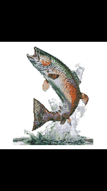 FAB FISH Cross Stitch Pattern by Welovit Cross Stitch | welovit.net | #welovit #welovitcrossstitch