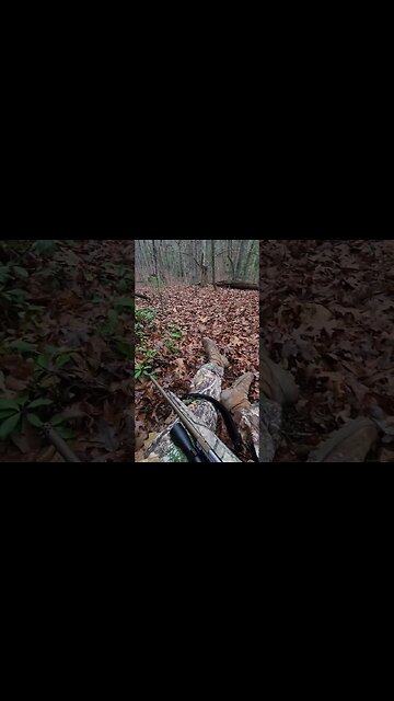 Where I Get My Mind Right #shorts