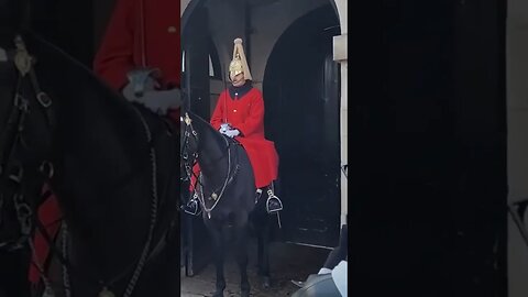 Wife shouts at husband for touching reins #thekingsguard