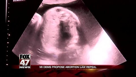 Pro-life group to respond to repeal