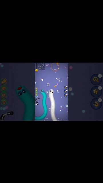 Shorts CASUAL AZUR GAMES Worms Zone .io - Hungry Snake 61-310