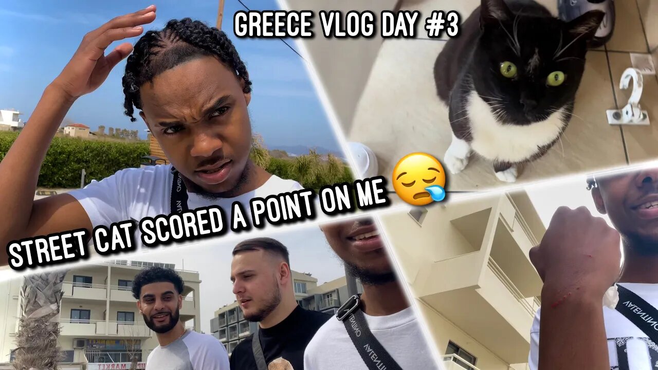 I GOT BITTEN BY A STREET CAT LIVE IN THE FLESH !!
