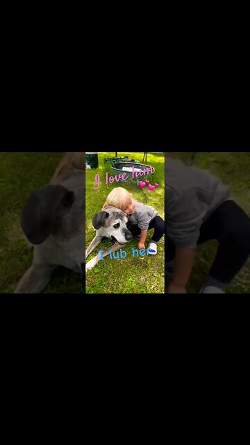 true dog 💕💕 #shortsvideo #dog #tips #socialmedia #hunting @TalkwithSally