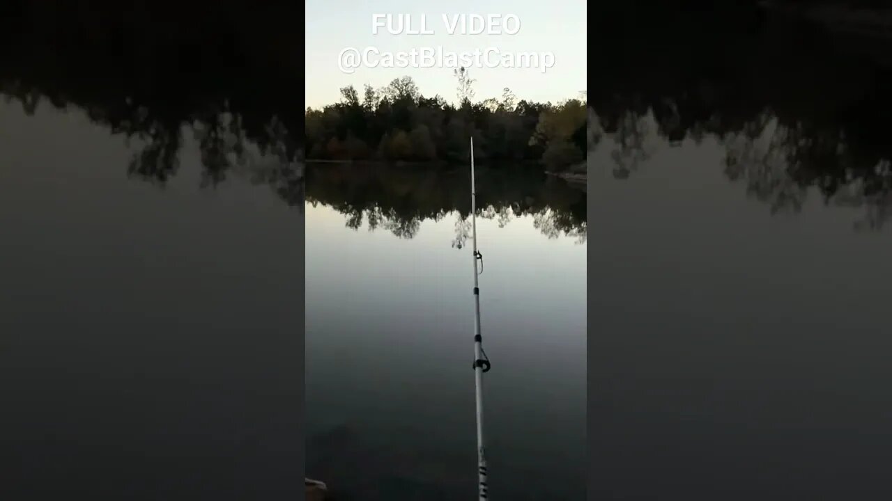 Whole Night Crawler Fishing At The Bridge! Daily Dose Of Fishing ep.217 #shorts #youtubeshorts