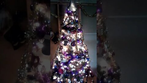 Christmas tree is up💓