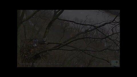 Hays Eagles Dad brings Food Gift for Mom 1623 9:51AM