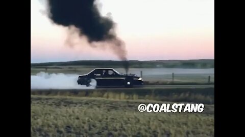 cummins mustang diesel burnout