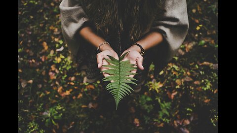 peaceful sound of nature relax right now