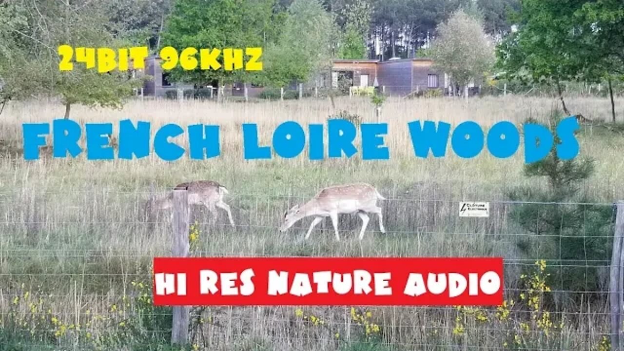 HI RES STEREO NATURE AUDIO 24BIT 96KHZ ASMR ParK aquatique Aqua Mundo Center Parcs Le Bois aux Daims