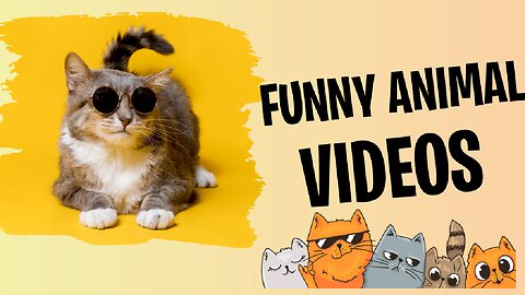 animals funny videos #Fun#animals😀😀😀