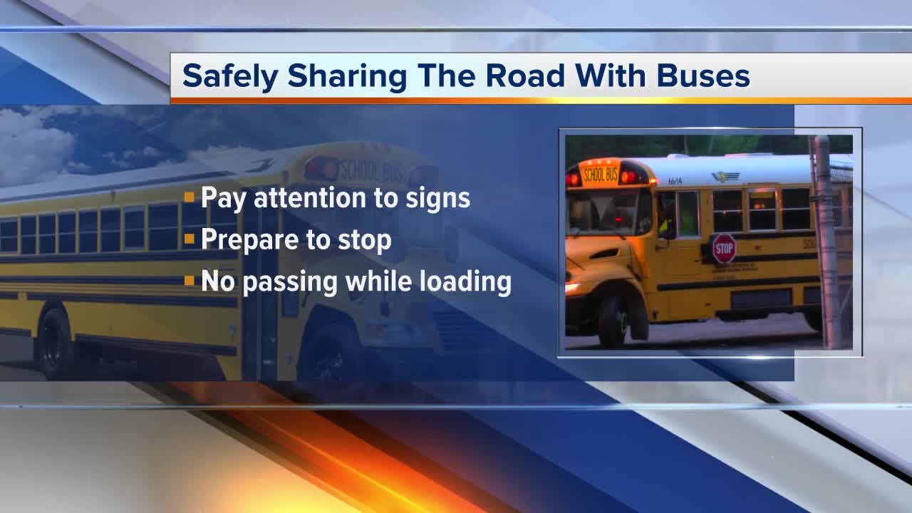 Safely sharing the road with school buses