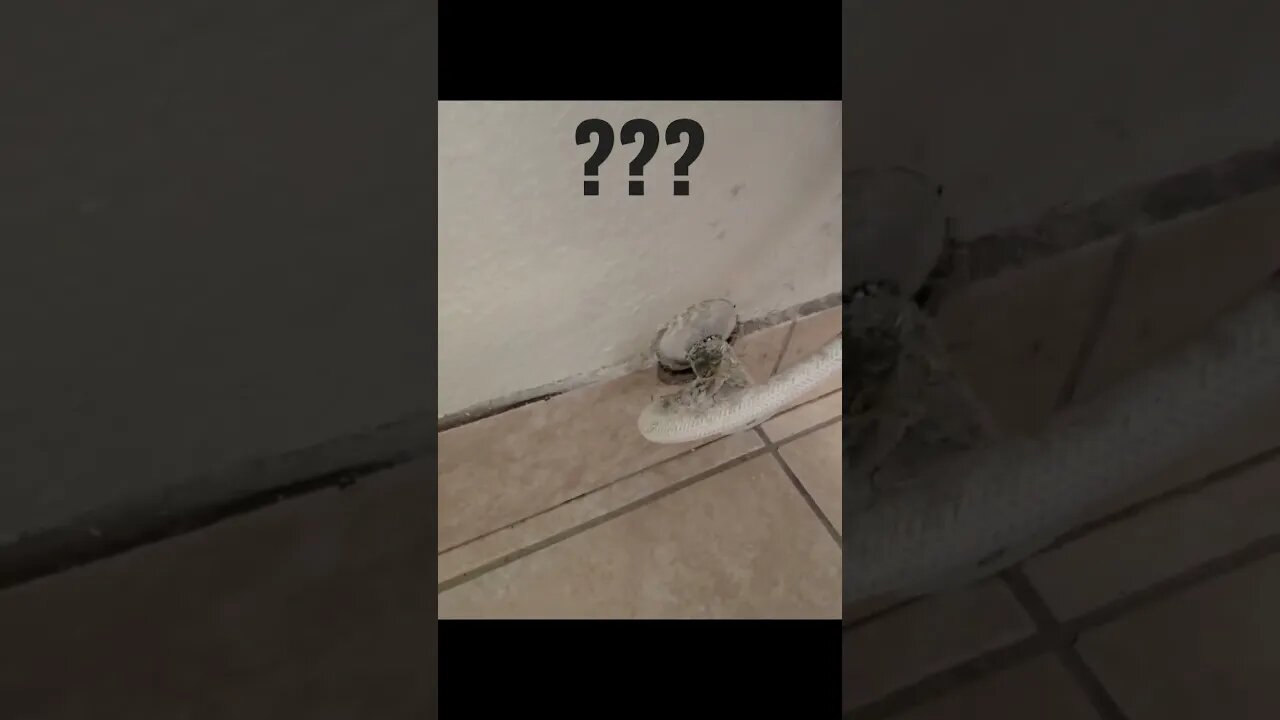 What is going on with this toilet? #shortvideo
