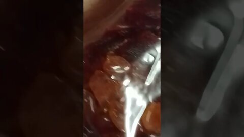 #shorts polierte Bernsteine #amber #bernstein