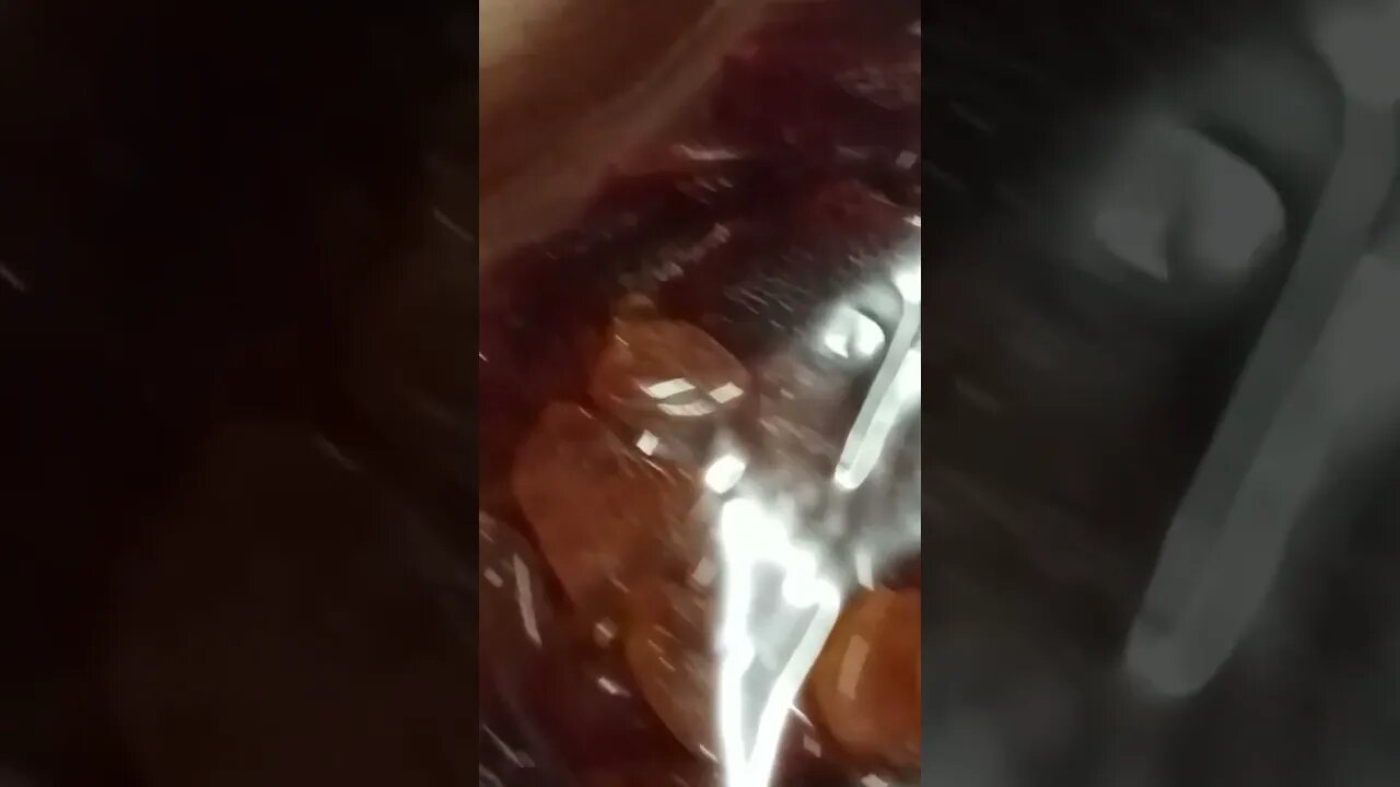 #shorts polierte Bernsteine #amber #bernstein