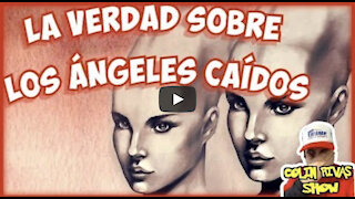 LA VERDAD SOBRE LOS ANGELES CAÍDOS