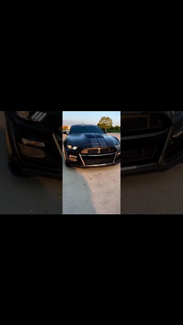 Mood #ford #mustangsociety #fordperformance #fordracing #shelby #fordmustang #shorts