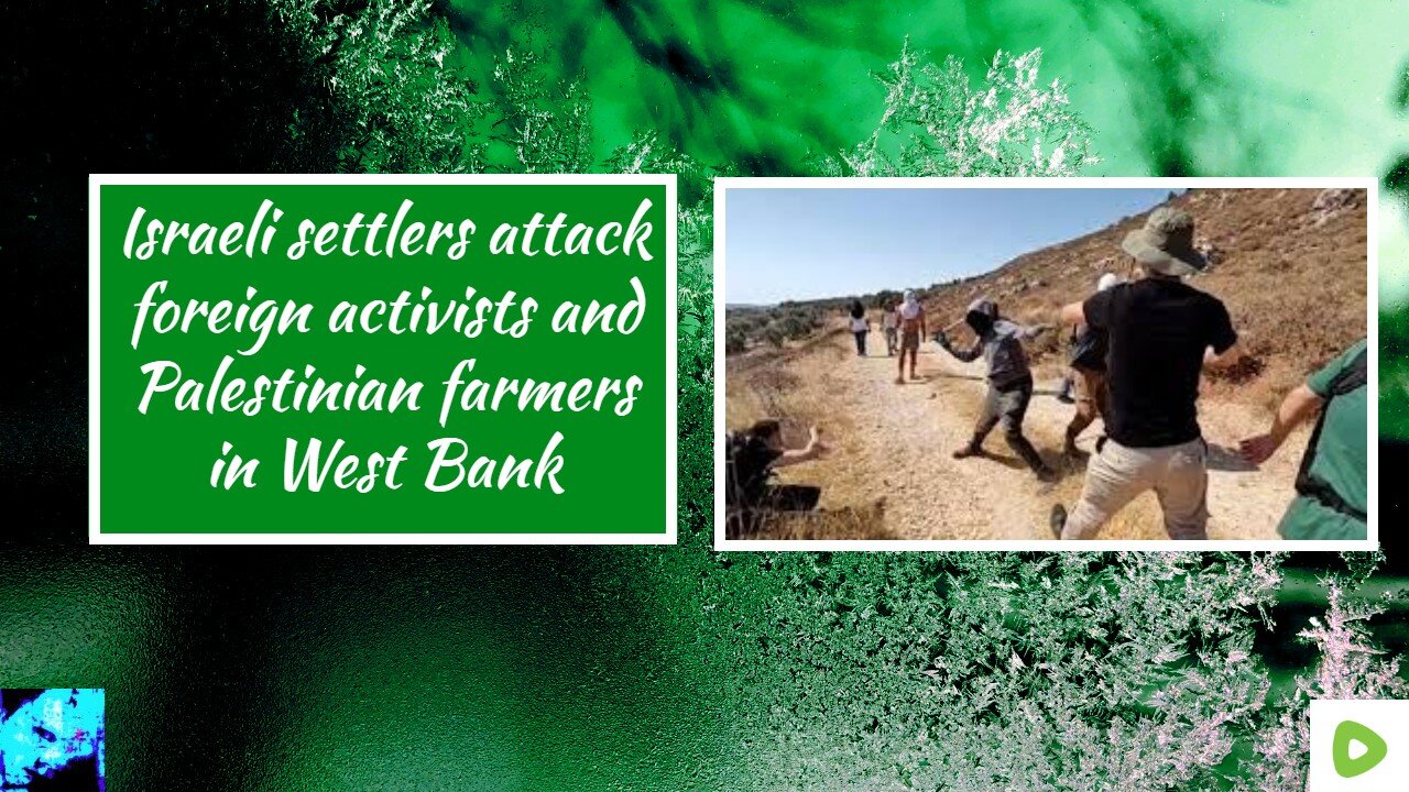 Israeli settlers attack foreign activists and Palestinian farmers in West Bank