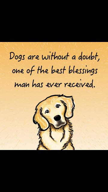 Dog Best Blessing [GMG Originals]