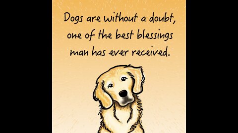 Dog Best Blessing [GMG Originals]