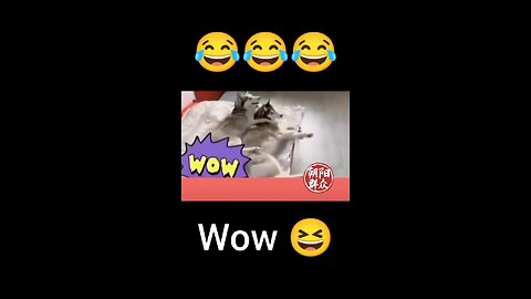 😆😂