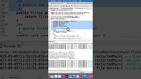 EXPLAINED: Jackson Serialization @JsonIgnoreProperties @JsonInclude #shortsvideo #tutorial #coding