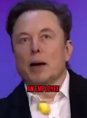 Another Reason Why I Like Elon Musk