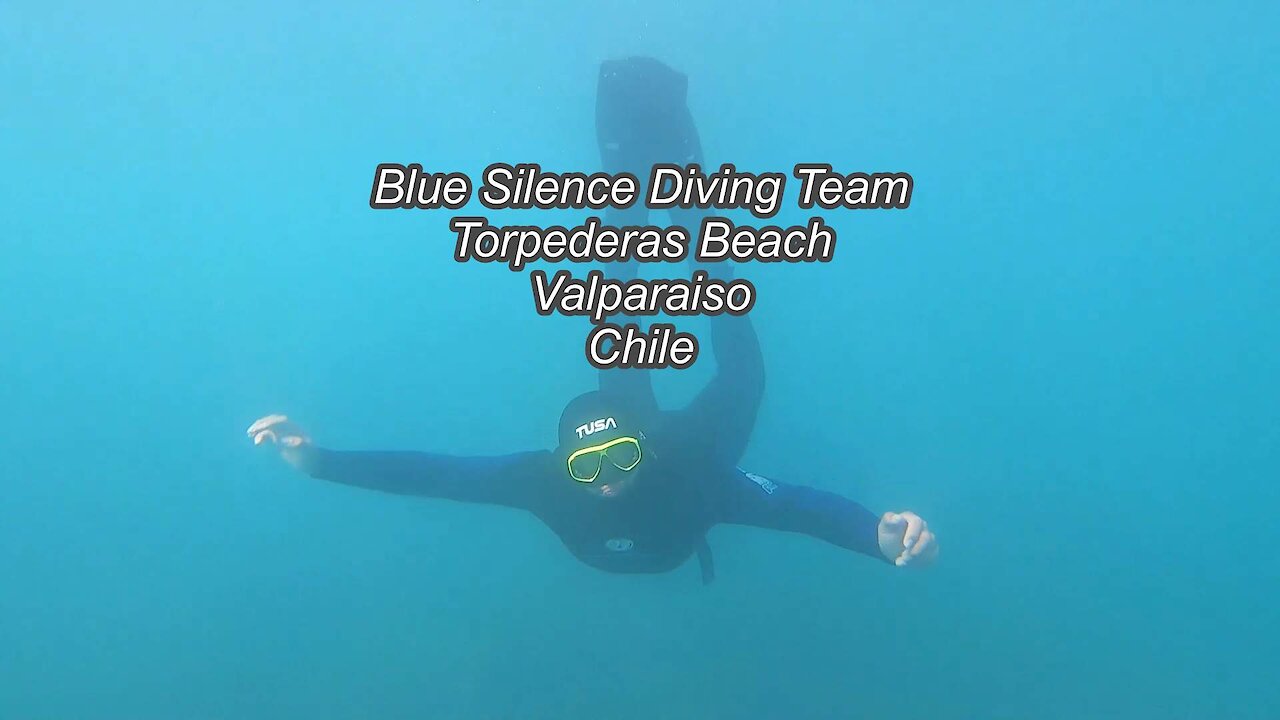 Blue Silence Diving Team, Playa Torpederas, Valparaiso, Chile