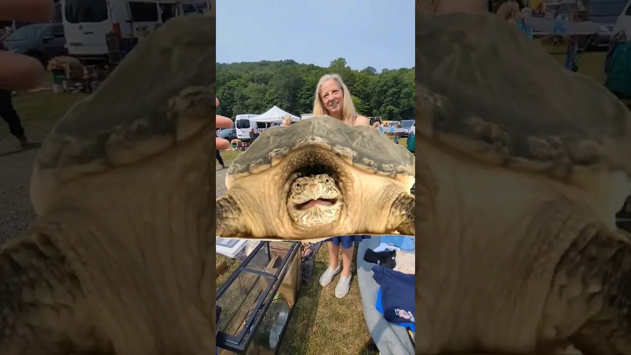 LADY SELLING AQUARIUM TANK WITHOUT THE TURTLES 🐢🐢🐢