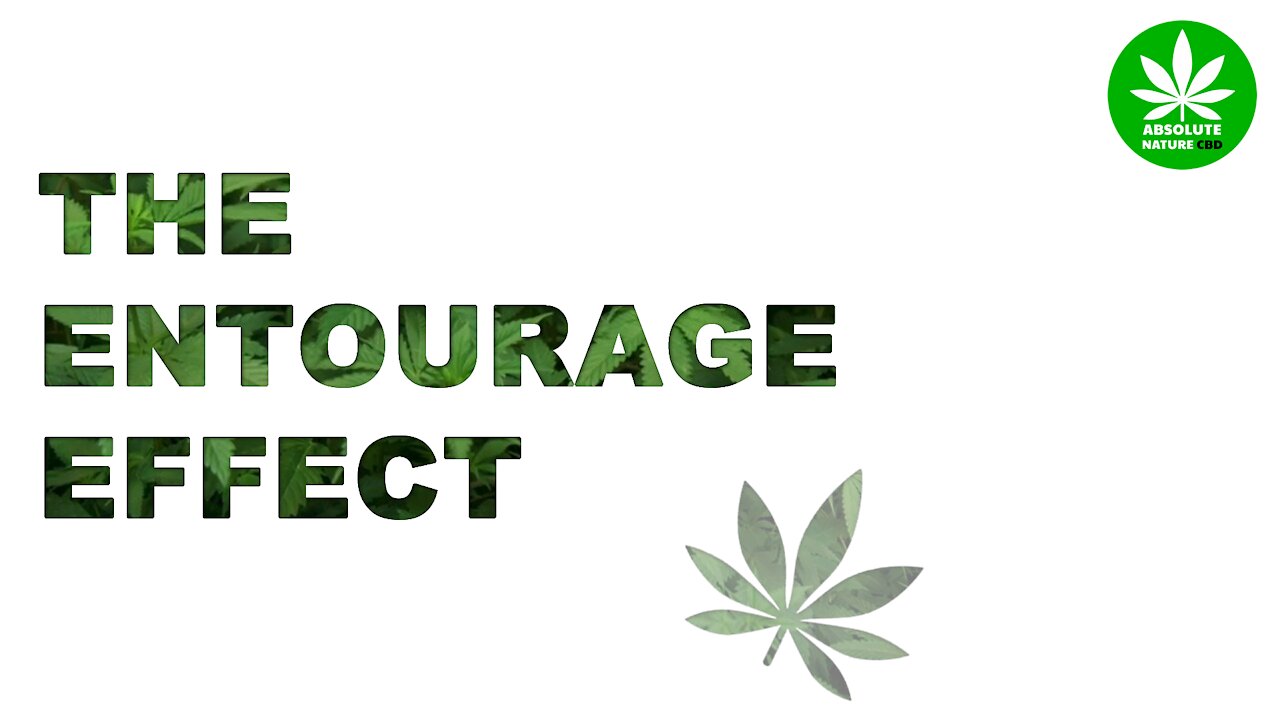 Entourage Effect – CBD, Cannabinoids, Terpenes & Flavonoids - What is the Entourage Effect?