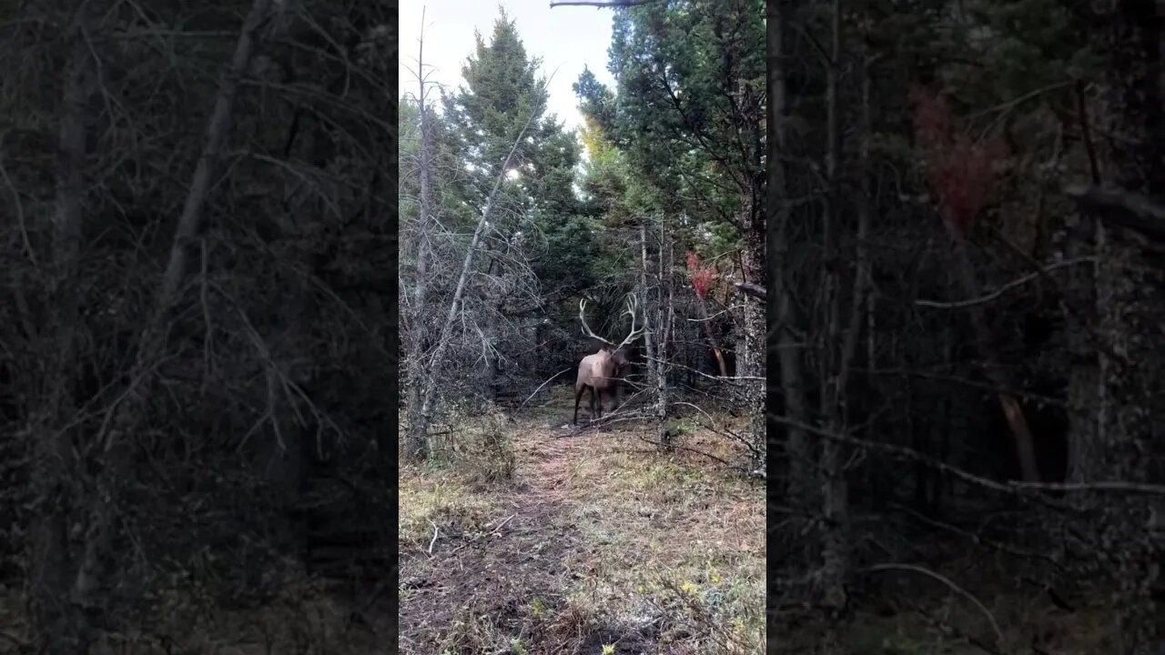 Tag a friend who would still miss