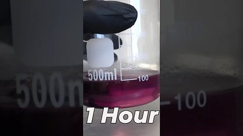 Dissolving Meat In Stomach Acid!