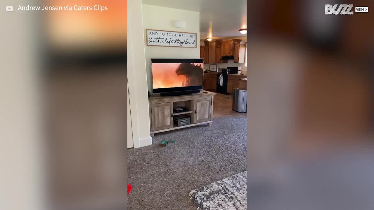 Boy mimics Godzilla in the living room