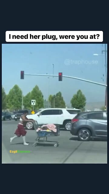 Bro send me your plug‼️ I want what you got‼️