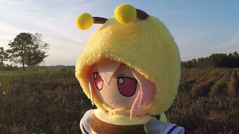 fumo bees at sundown