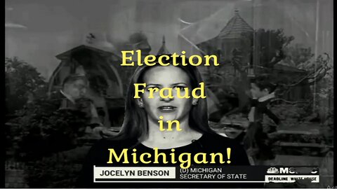 Election Fraud in Michigan!