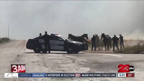 Dramatic video of horses escaping fire in southeast Bakersfield