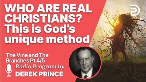 🚧 The good is the enemy of the best - The Vine and the Branches 4 of 5 - The Process of Pruning