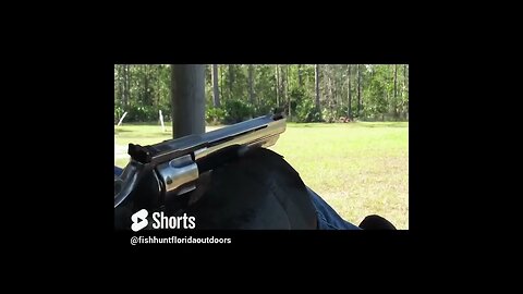 .44 Magnum Revolver at 50 yards