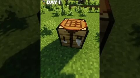 Boys DAY 1 Vs Boys DAY 2 #minecraft #shorts #viral