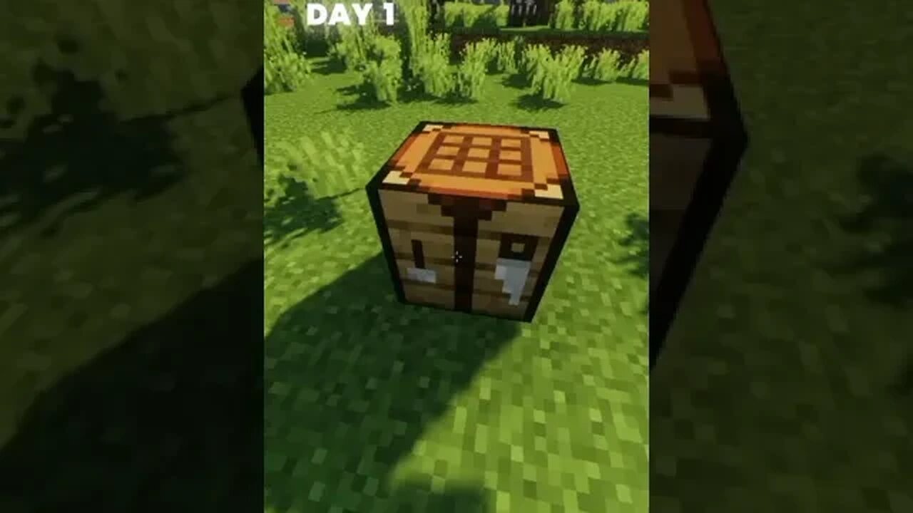 Boys DAY 1 Vs Boys DAY 2 #minecraft #shorts #viral