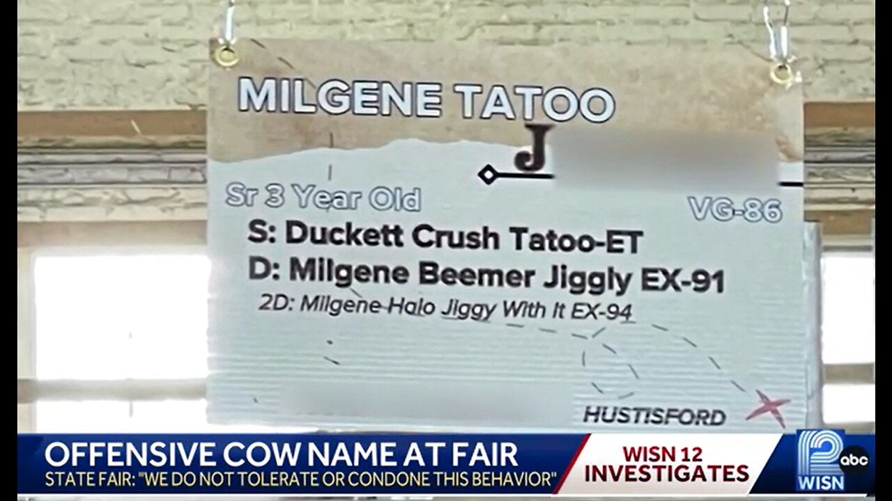 Wisconsin State Fair has a COW over name after attendees' faces turn BLUE STATE
