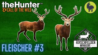 The Hunter: Call of the Wild, Fleischer #3 Hirschfelden (PS5 4K)
