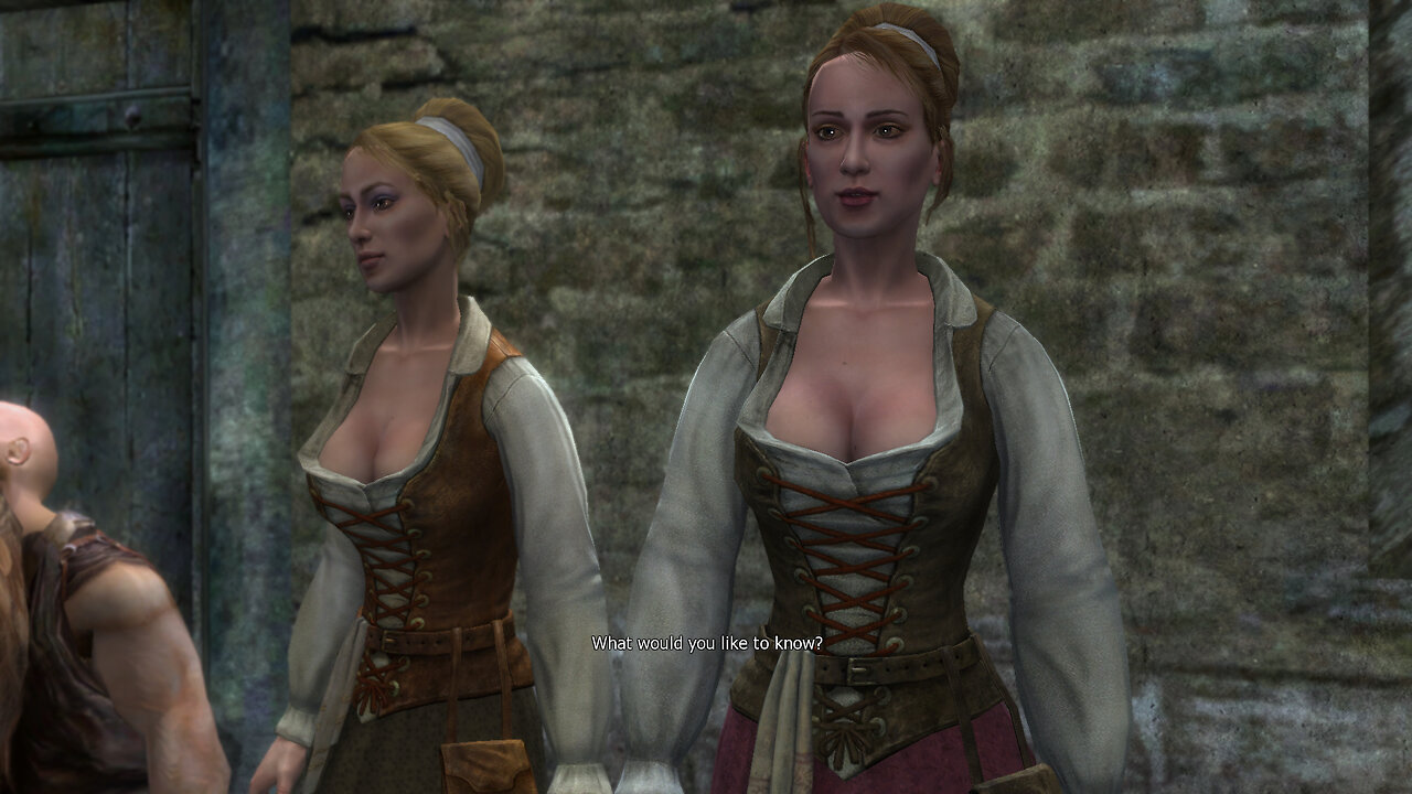 Sisters or Twins - The Witcher